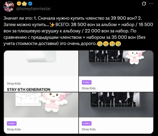 Комментарии фанатов Stray Kids по поводу мембершипа Комментарии фанатов Stray Kids по поводу мембершипа