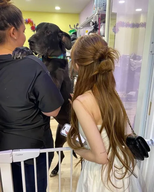 То самое фото Ёджин из Loossemble