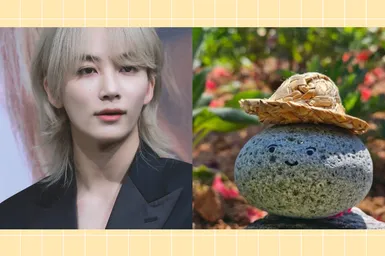 Необычный питомец: история дружбы Джонхан из SEVENTEEN и его камня Дольчжона