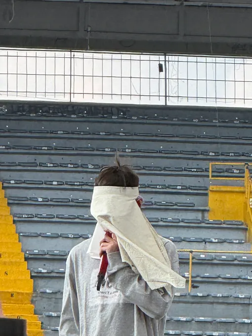 V из BTS