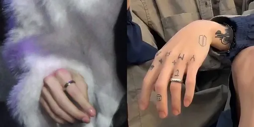 Одинаковые кольца у Чонгука из BTS и Винтер из aespa Одинаковые кольца у Чонгука из BTS и Винтер из aespa