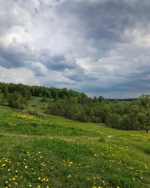 парк музей-заповедник Царицыно парк музей-заповедник Царицыно
